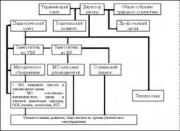 Структура и органы управления образовательной организацией